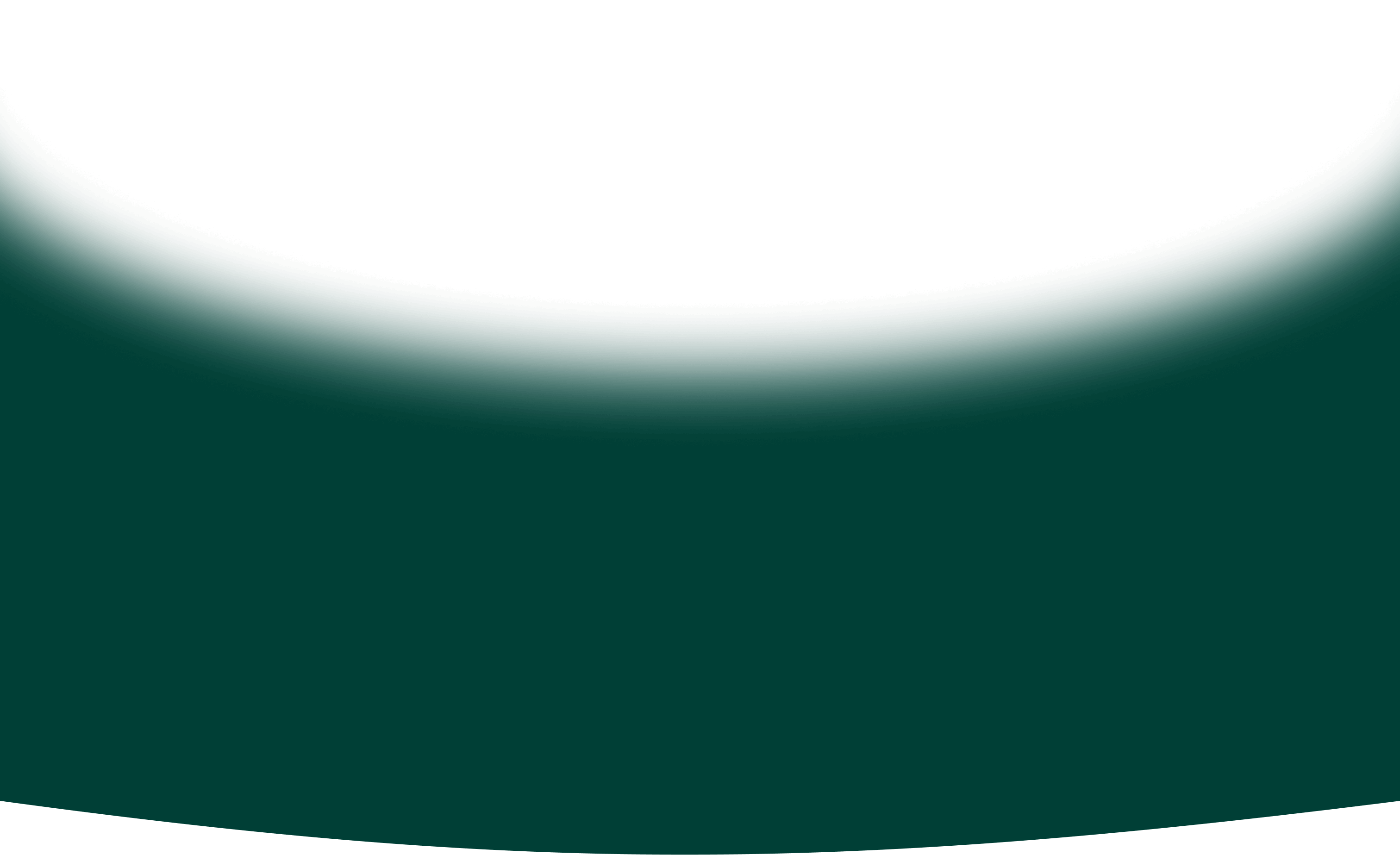 section bg